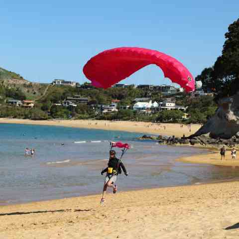 a group of people standing on top of a sandy beach