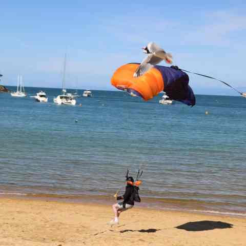 a boat sitting on top of a body of water