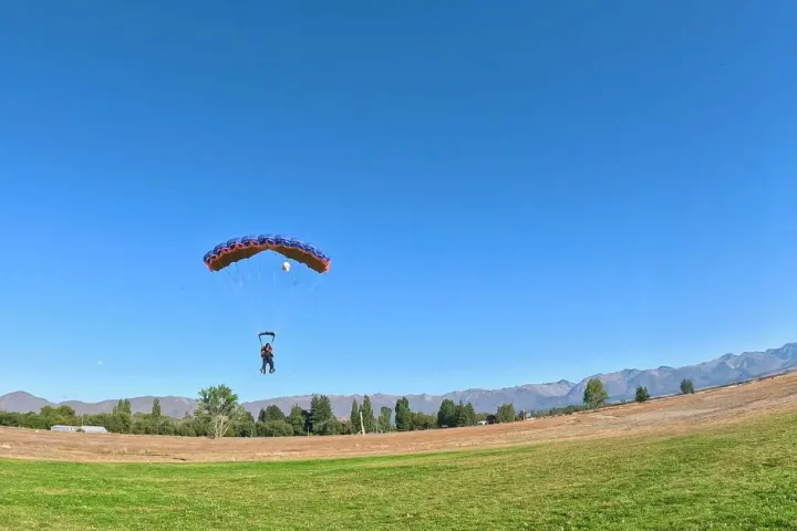 a large green field with trees in the background