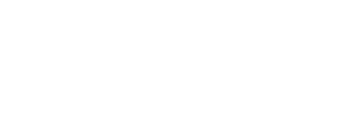 Skydive New Zealand Logo White