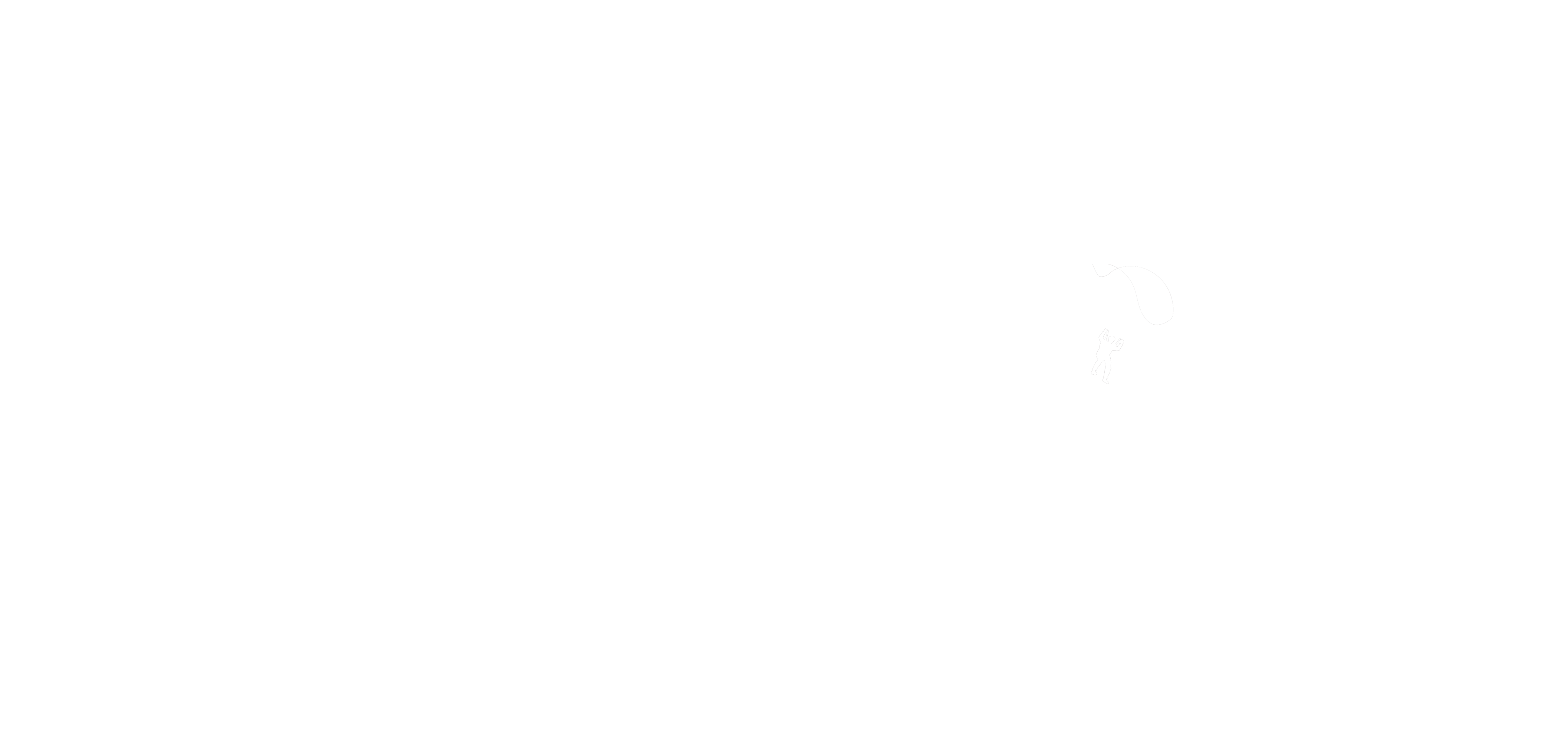 Skydive New Zealand
