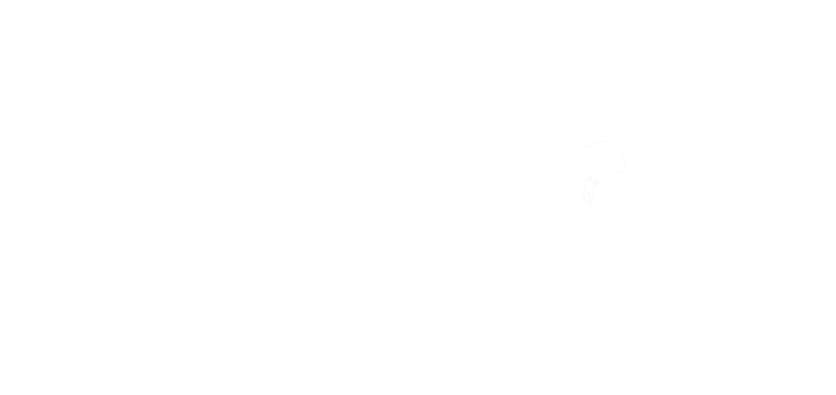 Skydive New Zealand
