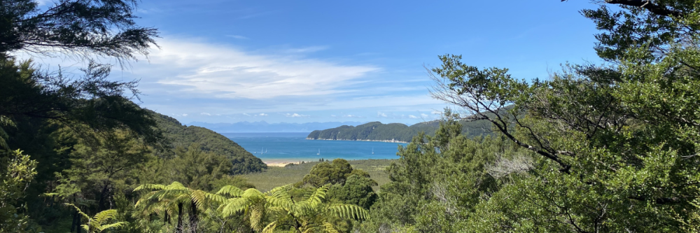 Scenic view of a bay with sailboats, surrounded by green foliage and hills under a blue sky.