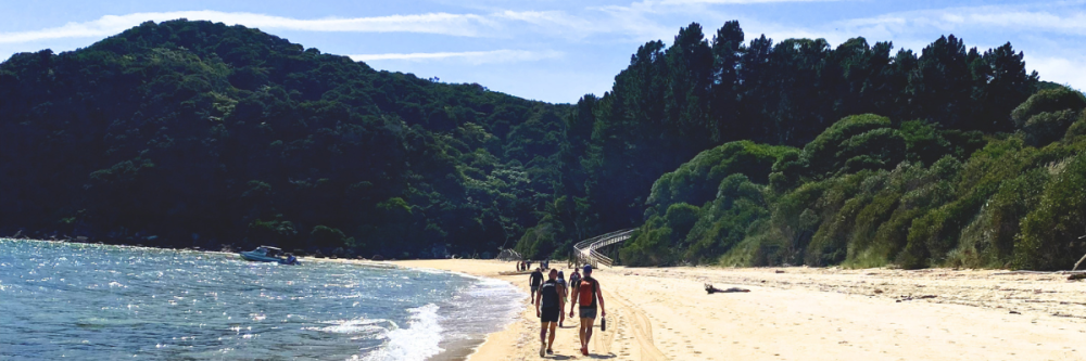 People walking on a sandy beach with forested hills in the background.