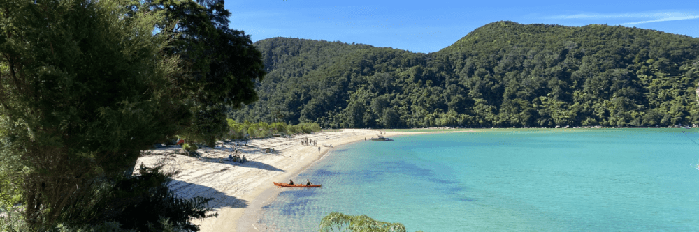 Pristine beach with turquoise water and lush forested hills under clear blue sky.